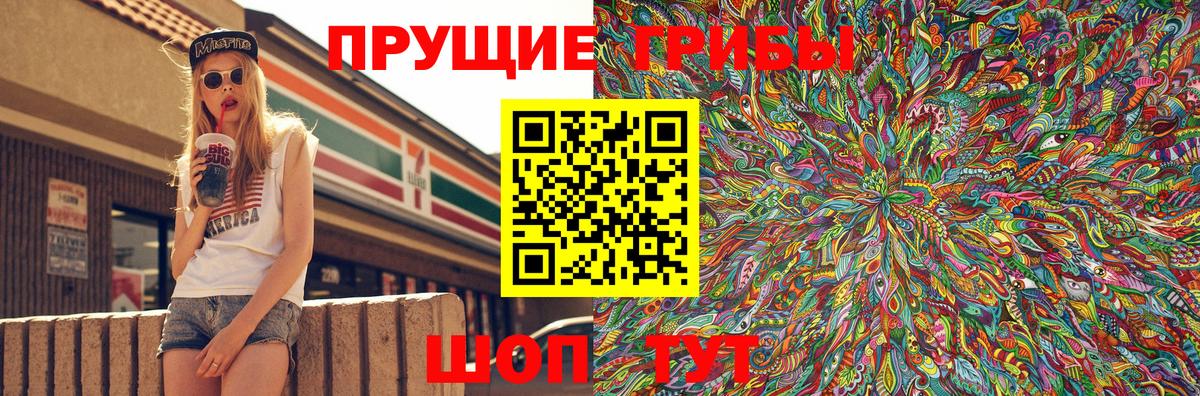 Кириши  Галлюциногенные грибы GOLDEN TEACHER  Вход с VPN  Псилоцибиновые грибы Magic Shrooms 